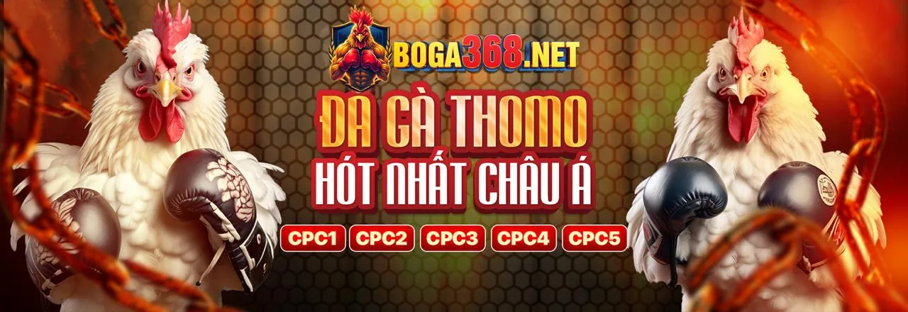 Sòng bạc trực tuyến vua bet với các trò chơi hấp dẫn